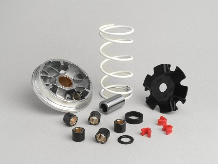 Variator-Kit -MALOSSI Multivar 2000- Yamaha 50 cc (type Giggle A311E Euro 2)