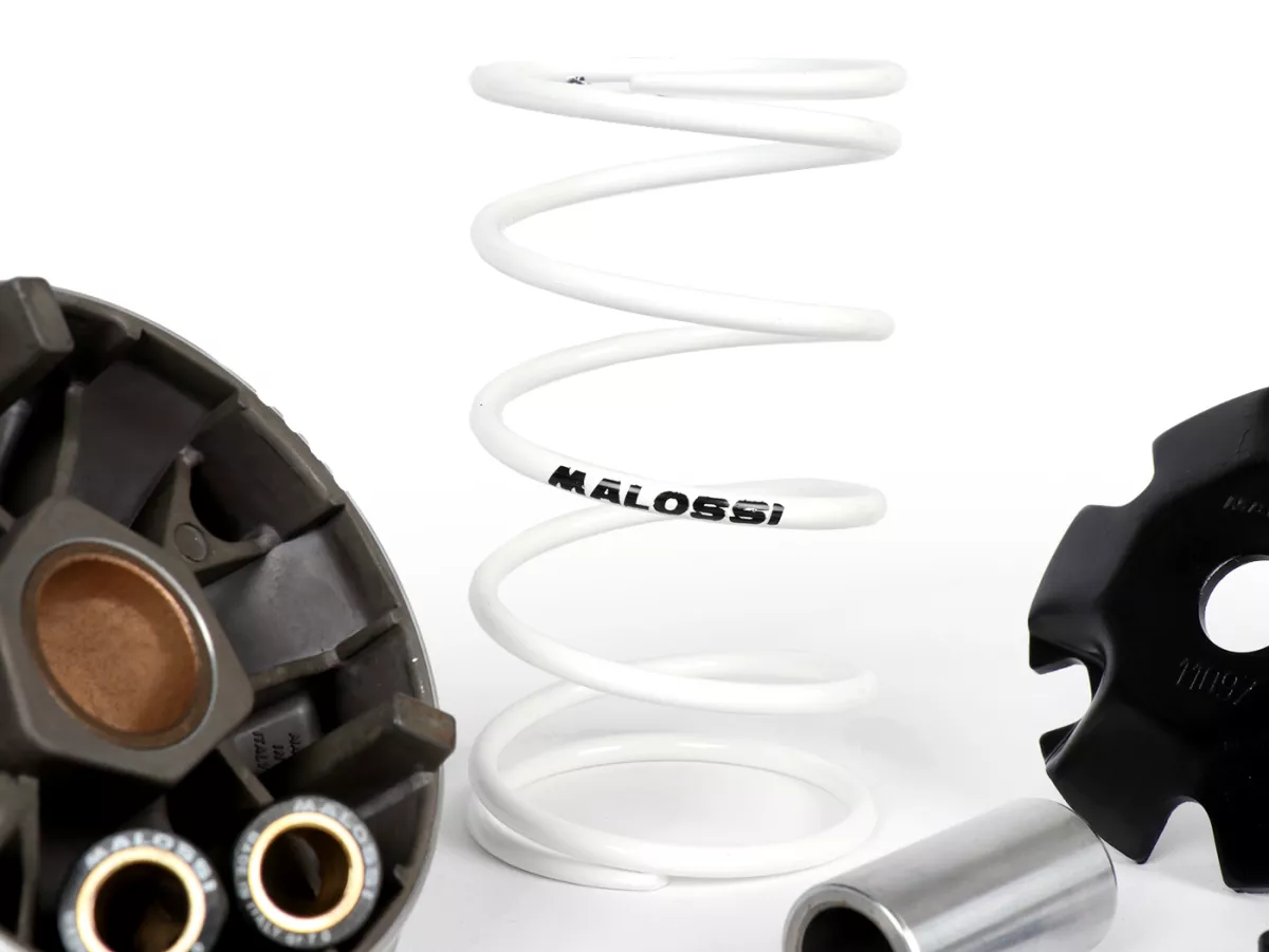 Variator-Kit -MALOSSI Multivar 2000- PEUGEOT Speedfight 3 50 4T, Tweet 50 4T, SYM  Symphony 50 4T, Crox 50 4T- 16x13 - 6.00gr