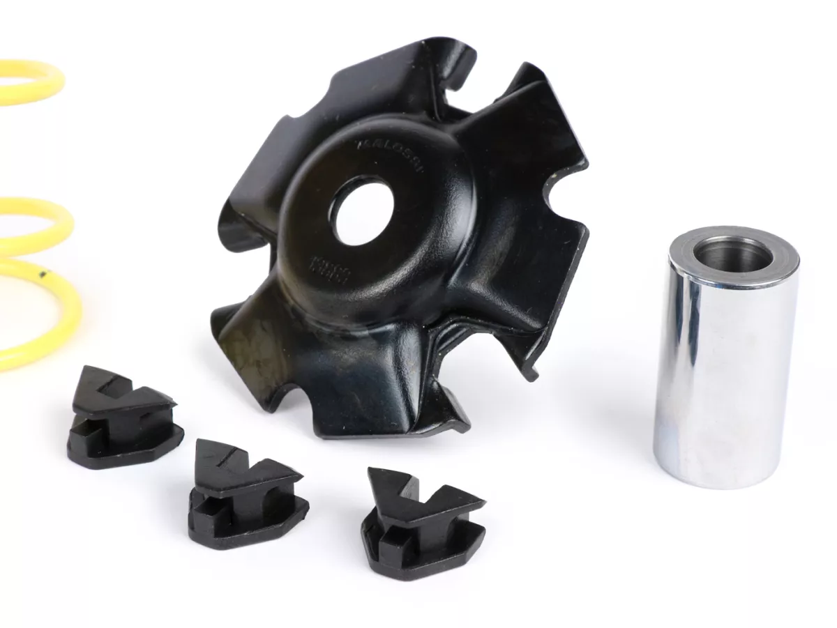 Variator-Kit -MALOSSI Multivar 2000 4T- HONDA Forza, SH 125-150cc