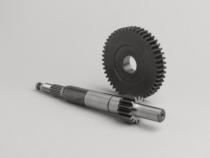 Getriebe primär -MALOSSI- Gilera DNA 50 ccm - 14/48 = 1:3,43