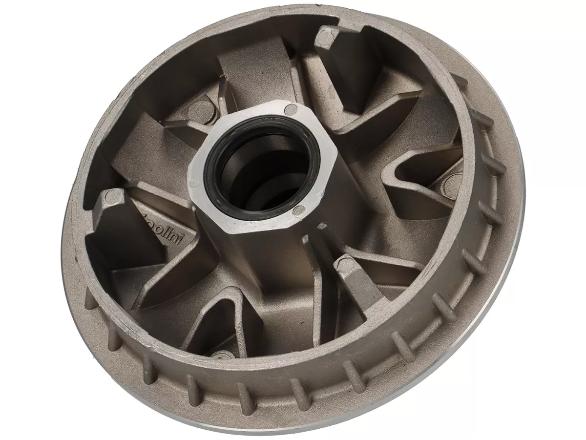 Variomatik -POLINI Speedcontrol- Kymco 300 ccm (Typ Xciting Euro 3)