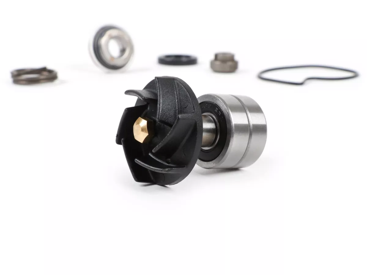 Revideringssats för vattenpump -RMS- Piaggio 250-300 ccm Quasar LC (Type1)