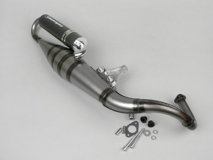 Escape -TECNIGAS RS 2- Minarelli 100 ccm