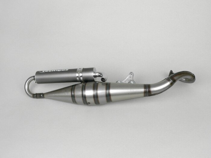 Escape -TECNIGAS RS 2- Minarelli 100 ccm