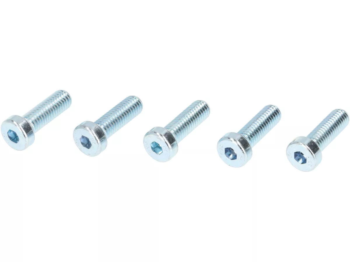 Jeu de vis pour moyeu de la roue avant 10 -VMC RACING V50 Style- utilisé pour le montage Vespa 2.10 pouces jante sur Vespa ET2, ET4, LX, LXV, S 50-150 - également adapté pour PIAGGIO Hexagon, Sfera RST, ZIP II, ZIP SP - argenté