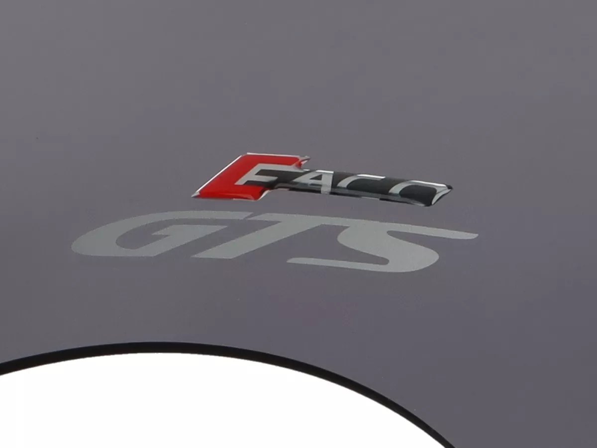 Windshield -FACO- Twin Screen- Vespa GTS 125-310cc Keyless - adjustable, incl. mounting material