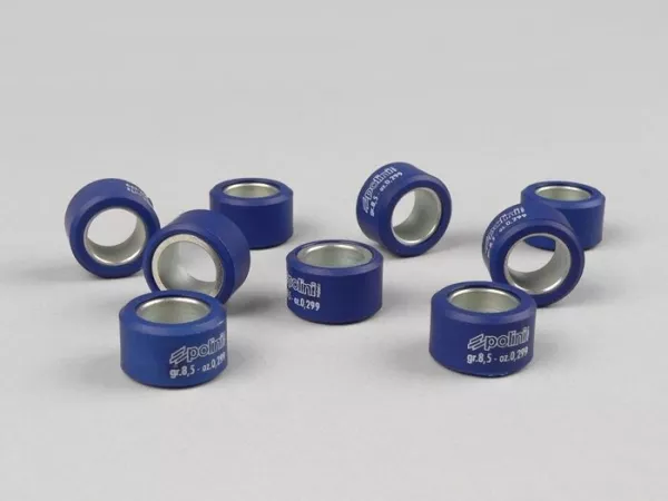 Gewichten -POLINI 20x12mm- set van 9 -