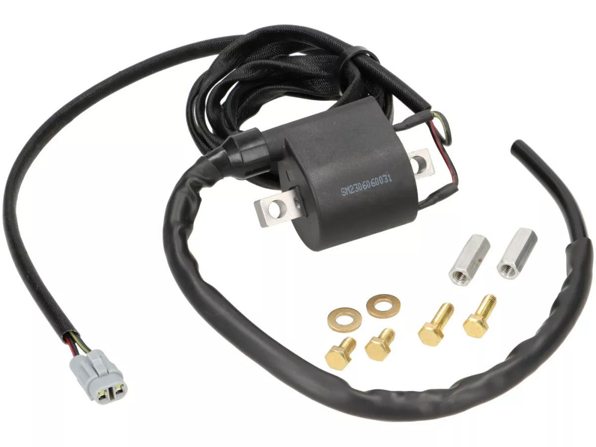 Kit de adaptación -BGM- con ECU / caja de encendido CDI - Euro 4 - Vespa Primavera 50, Sprint 50, Piaggio Liberty 50 , Zip 50
