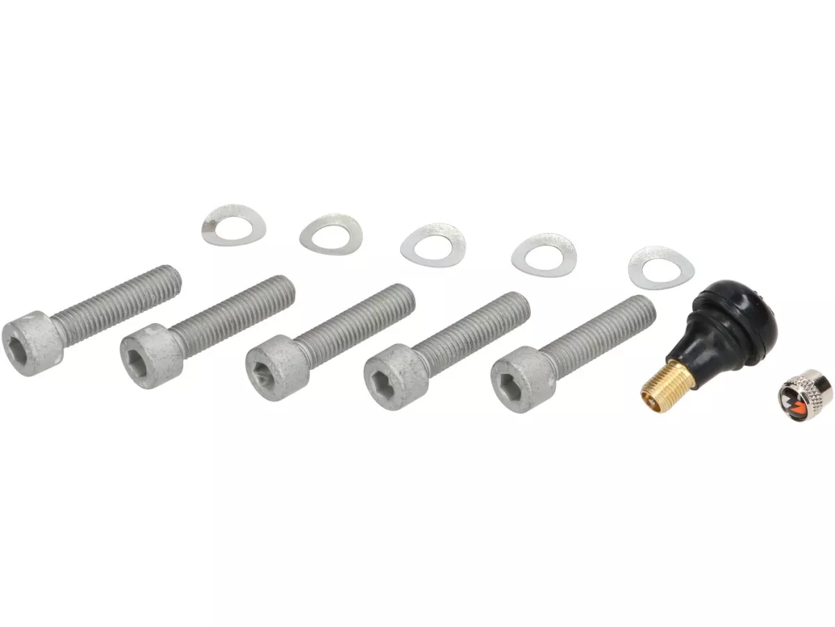 Set pemasangan untuk pelek (depan) -BGM PRO 13 inci- digunakan untuk Vespa GTS