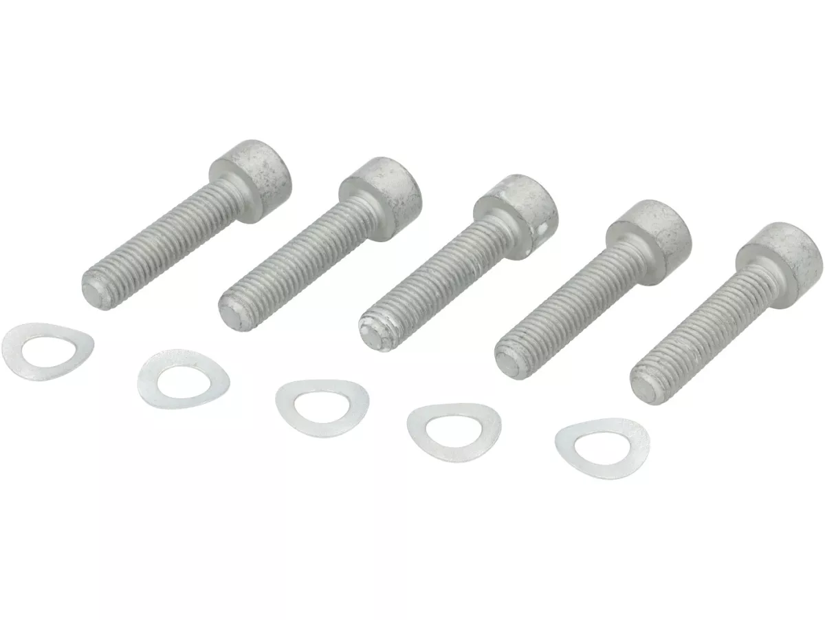 Set of screws - M8 x 35 (strength 8.8) - used for rim -bgm Pro - front, Vespa GTS