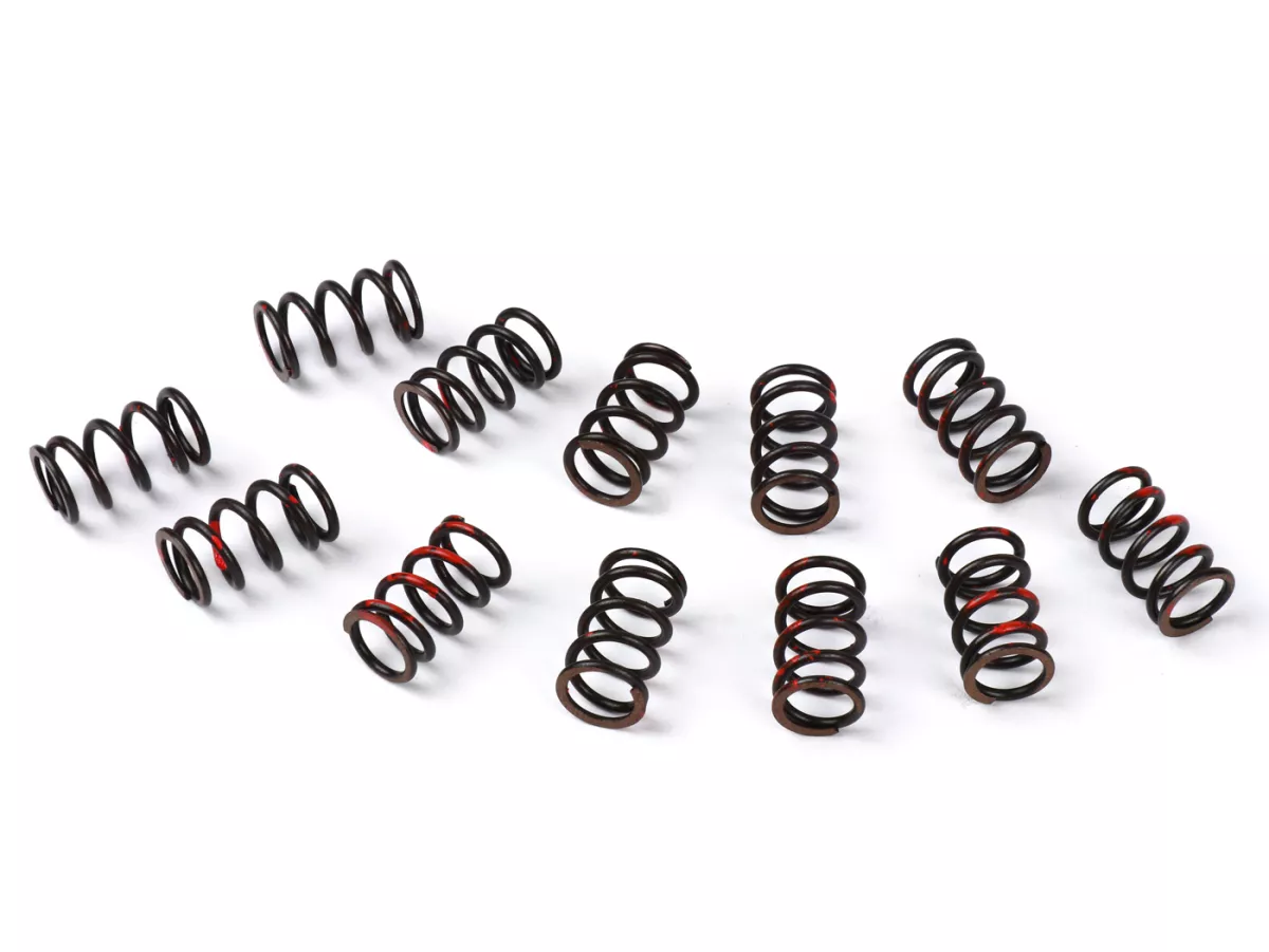 Kupplungsfedern Powermaster Kupplung STRONG -CASA PERFORMANCE- Lambretta Serie 1-3 (12er Set)