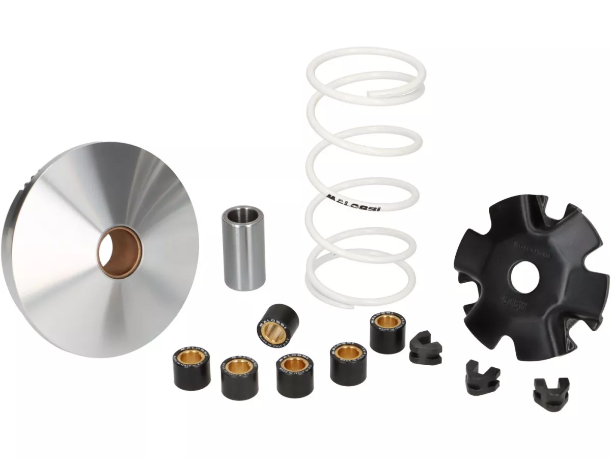 Variomatic -MALOSSI- Multivar - Bye Bike One