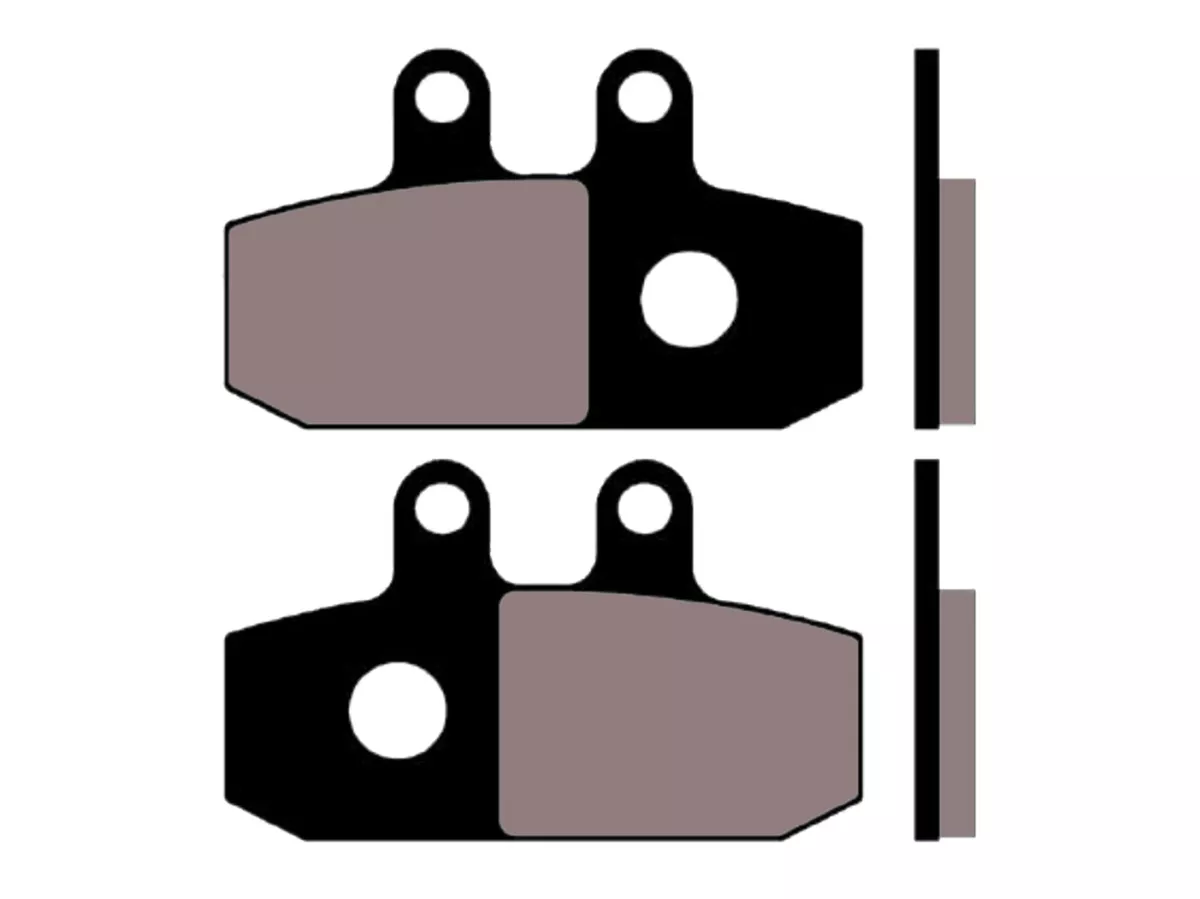 Bremsbeläge -NARAKU- organisch für Aprilia Atlantic 500 01-04 (vorn rechts)