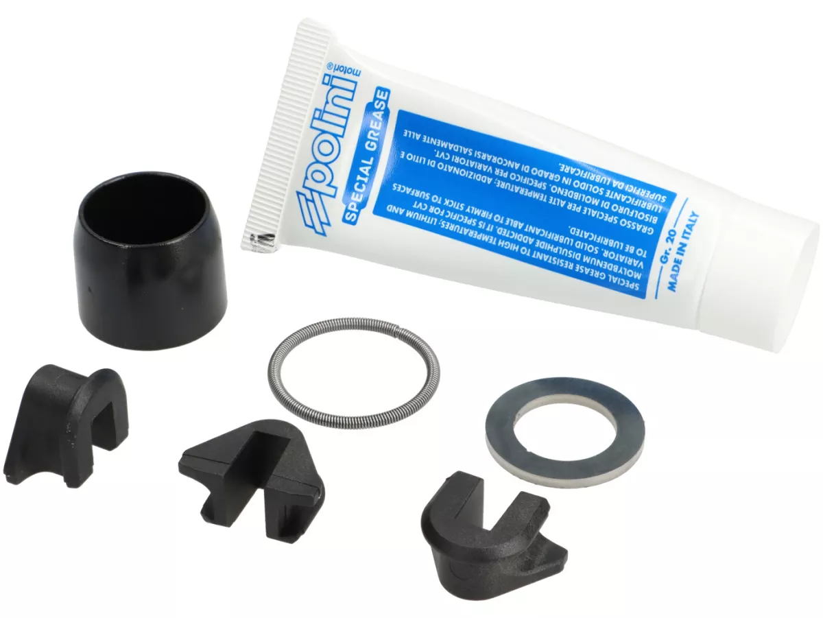 Variator-Kit -POLINI Hi-Speed- Vespa Primavera 150 i.e. 3V (M813M), Vespa LX 125 i.e. 3V (M687M), Vespa LX 150 i.e. 3V (M688M), Vespa S 125 i.e. 3V, Vespa 946 125 i.e. 3V (M801M), Piaggio New Fly 125 i.e. 3V, Liberty 150 i.e. 3V (M738M)