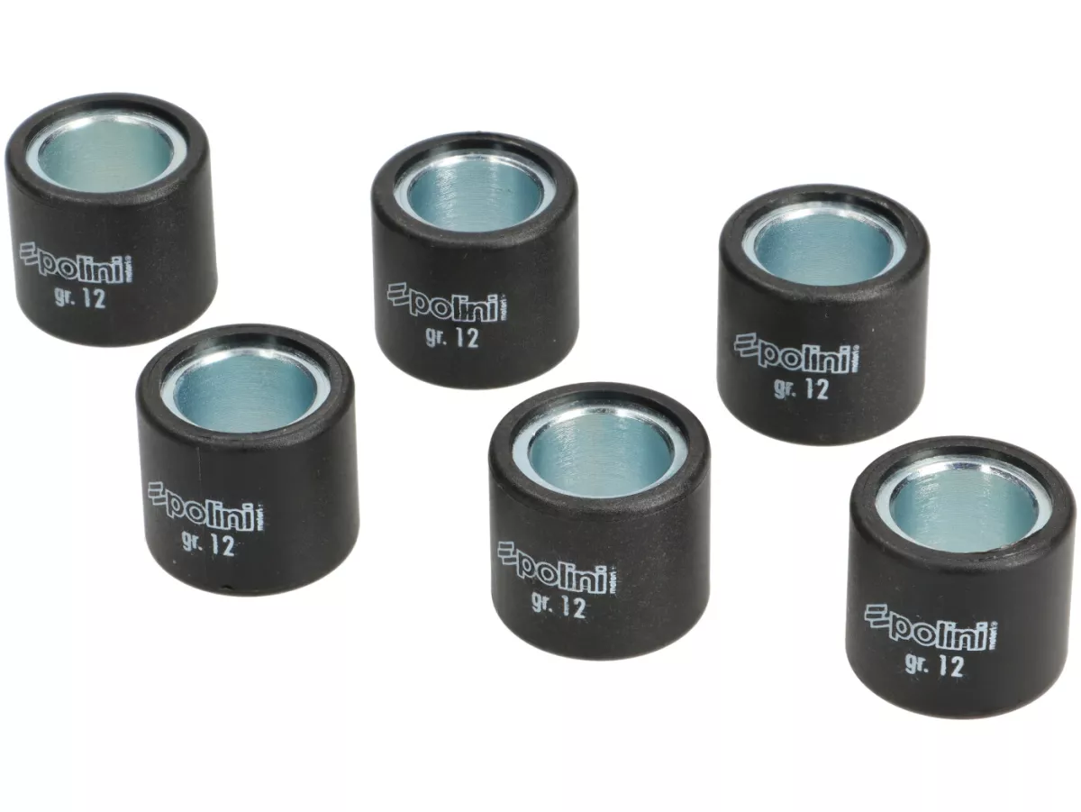 Variator-Kit -POLINI Hi-Speed- Vespa Primavera 150 i.e. 3V (M813M), Vespa LX 125 i.e. 3V (M687M), Vespa LX 150 i.e. 3V (M688M), Vespa S 125 i.e. 3V, Vespa 946 125 i.e. 3V (M801M), Piaggio New Fly 125 i.e. 3V, Liberty 150 i.e. 3V (M738M)