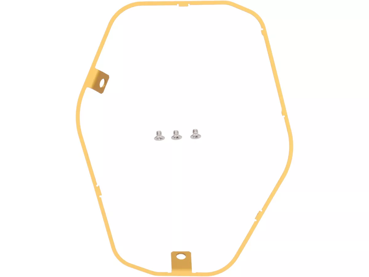 Powerring för bakre ljuddämpare -REMUS RS 2.0 - Vespa GTS Super HPE 300 (Euro 5, ZAPMD3100, ZAPMD3101, ZAPMD3101) - Guld