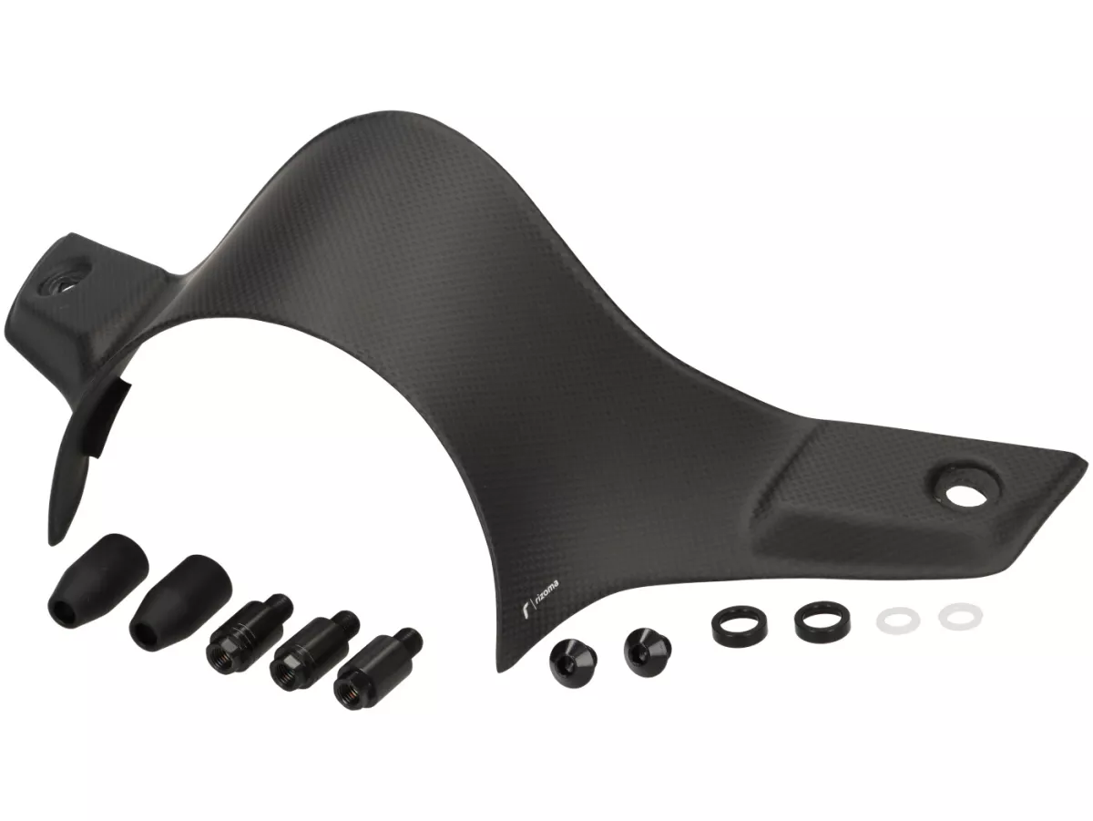 Fairing stang -RIZOMA- Karbon - Vespa GTS125-310 Keyless