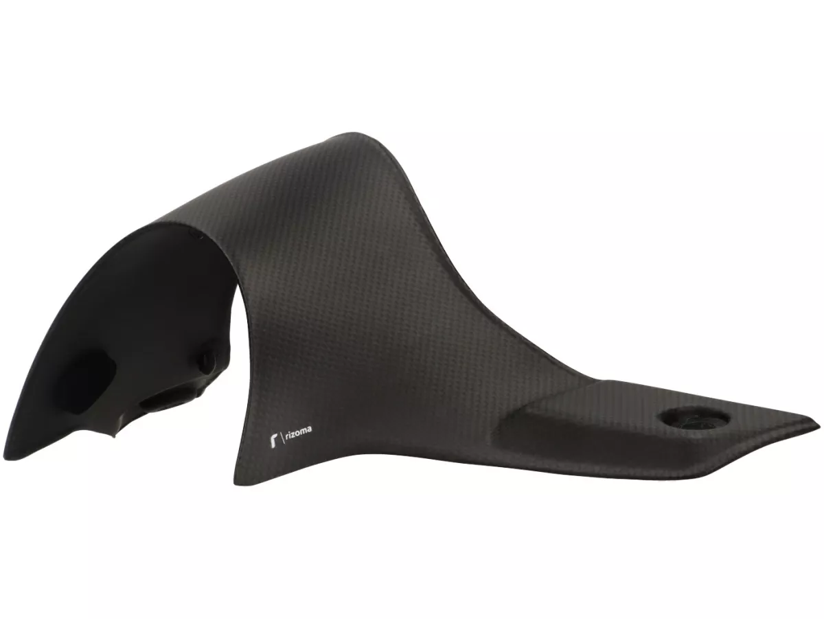 Fairing stang -RIZOMA- Karbon - Vespa GTS125-310 Keyless