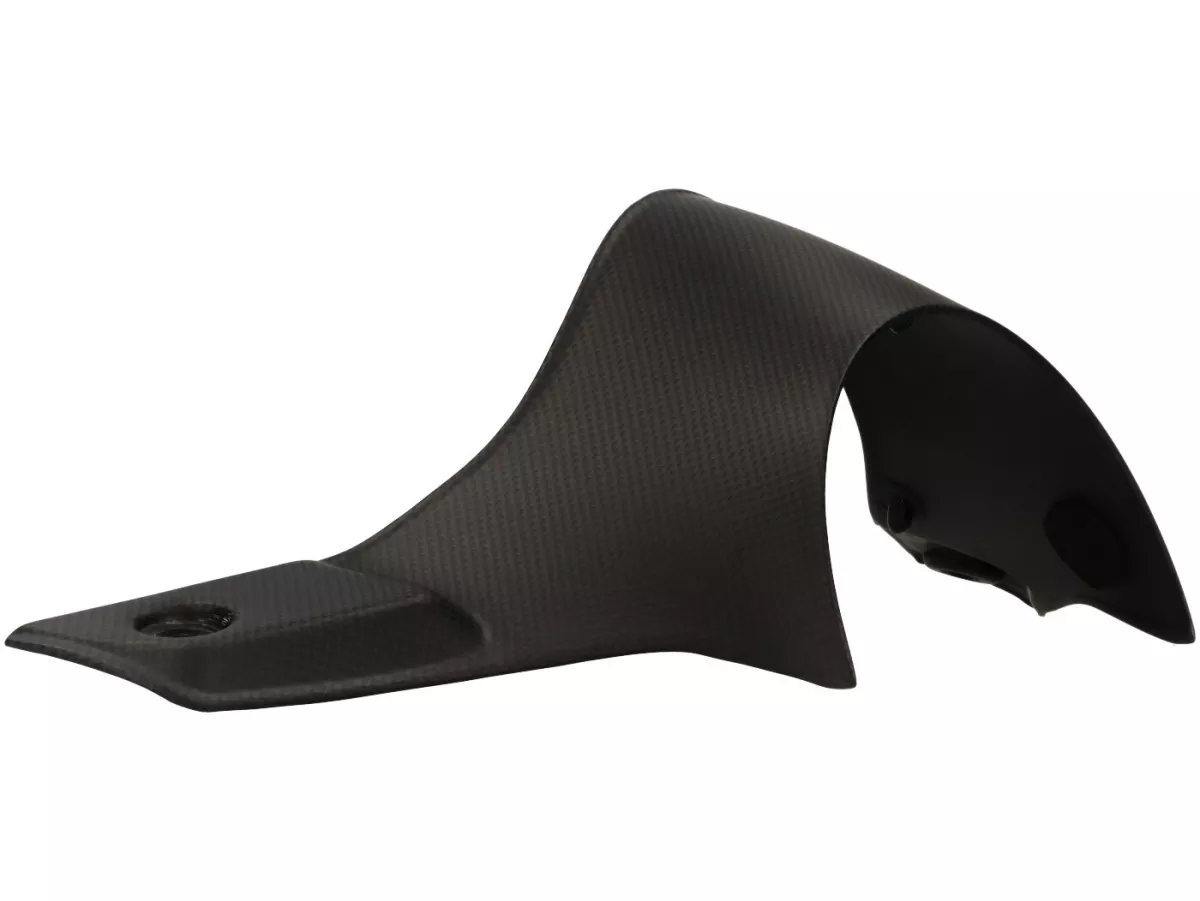 Fairing stang -RIZOMA- Karbon - Vespa GTS125-310 Keyless