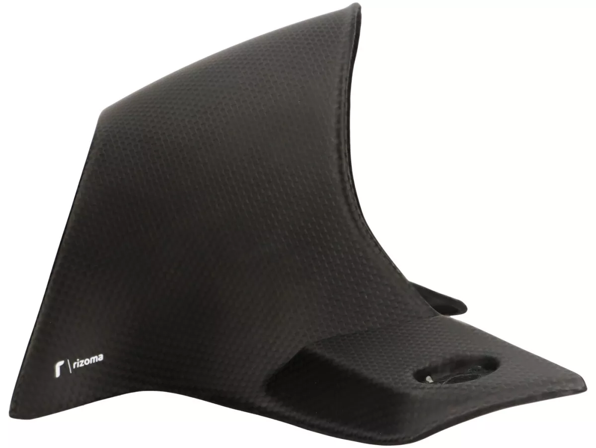 Fairing stang -RIZOMA- Karbon - Vespa GTS125-310 Keyless