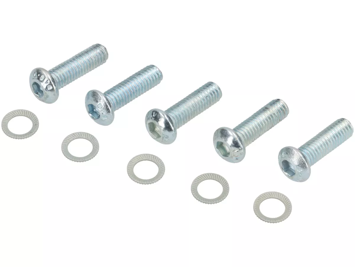Juego de tornillos - M6 x 20 (resistencia 10.9) - utilizado para discos de freno con montaje de 5 agujeros, freno de disco Piaggio, Grimeca, LML