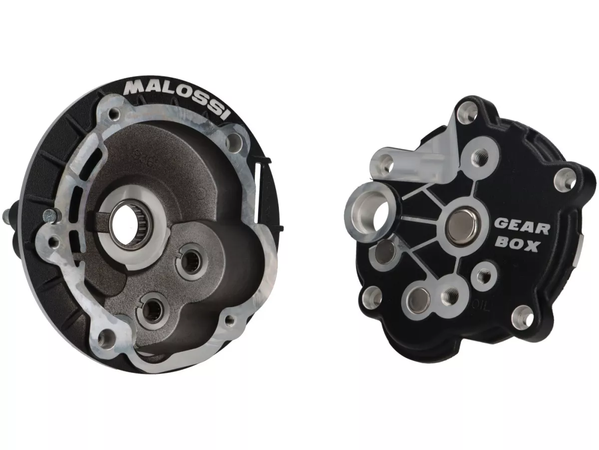 Gearbox  (incl. bearing set) -MALOSSI- Piaggio Ciao, Boss, SI, Grillo, Bravo, Superbravo- required for conversion to Variomatik