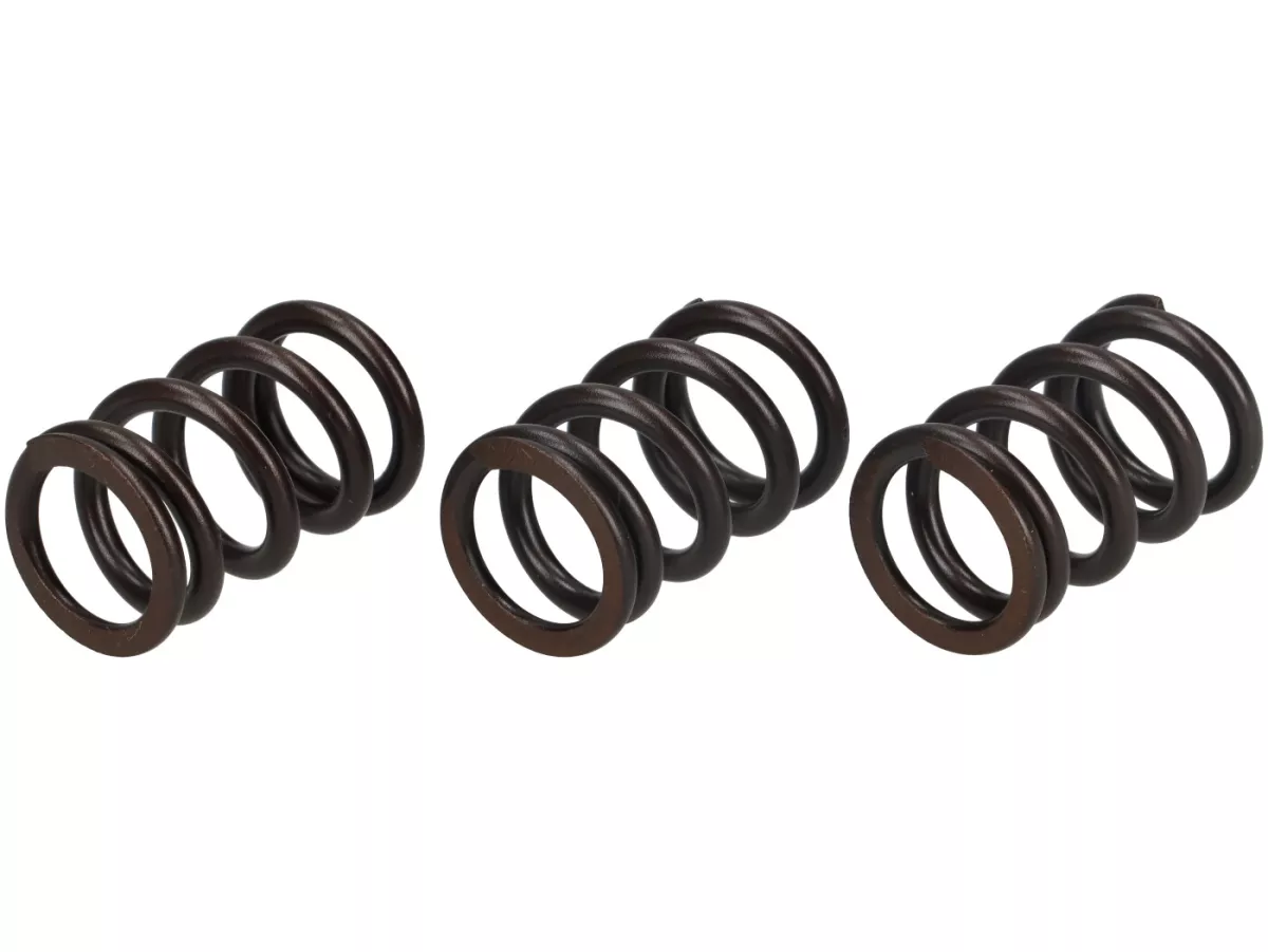 Valve spring set -MALOSSI- Piaggio 3V IGET 50 ie 4T Euro5