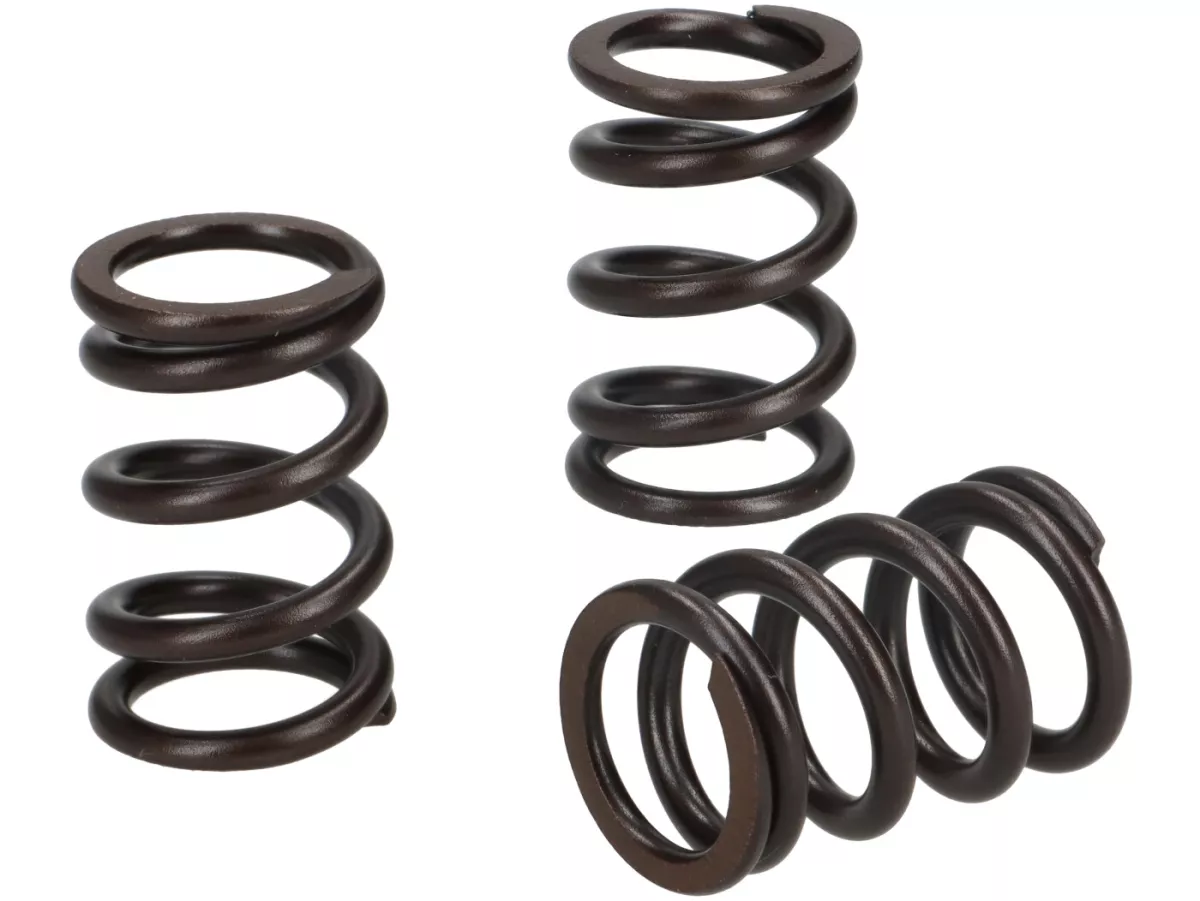 Valve spring set -MALOSSI- Piaggio 3V IGET 50 ie 4T Euro5
