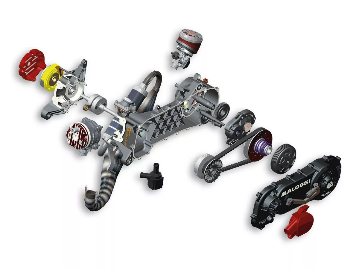 Motor -MALOSSI- C-One