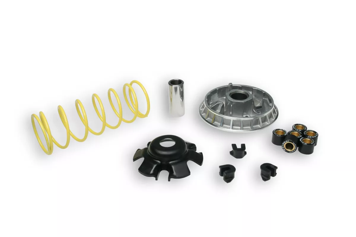 Kit variateur -MALOSSI- Multivar 2000 - Aeon Cobra 400