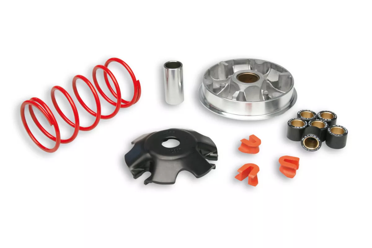 Variomatic -MALOSSI- Multivar 2000 - Yamaha D'elight 115 Euro 3