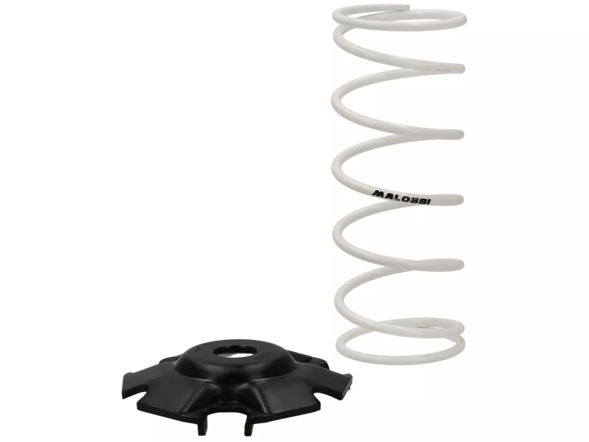 Variator-Kit -MALOSSI- Multivar 2000 - SYM Jet X 125 Euro 5, Symphony ST 125 Euro 5, Jet 14 125 Euro 5