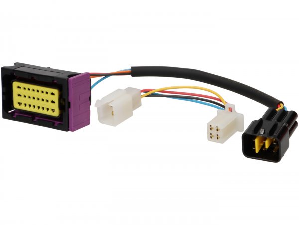 CDI -MALOSSI- Digitronic - Euro 0-2- Minarelli 50 AC/LC - without immobiliser