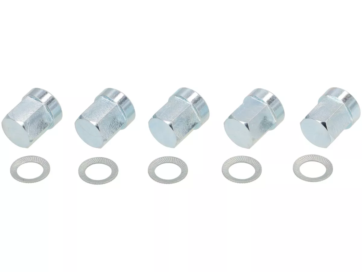 Set mur penutup untuk pelek tubeless -BGM PRO- M8 x 1.25mm (10.9) dengan kerah 14mm - SW = 12mm, H = 16.5mm - galvanis