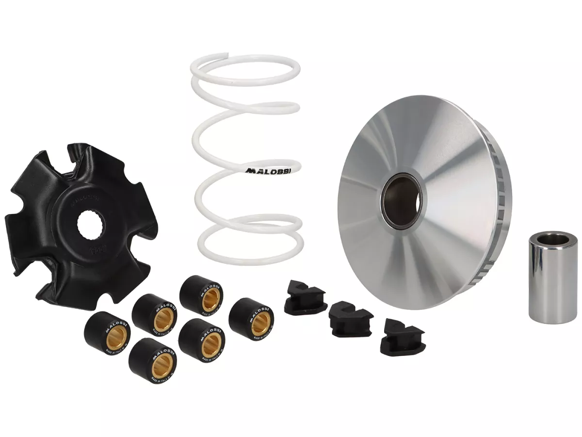 Variomatic -MALOSSI- Multivar 2000 - Vespa GTS HPE 310, Piaggio MP3 HPE 310, Royal Alloy GP 350, TG 350