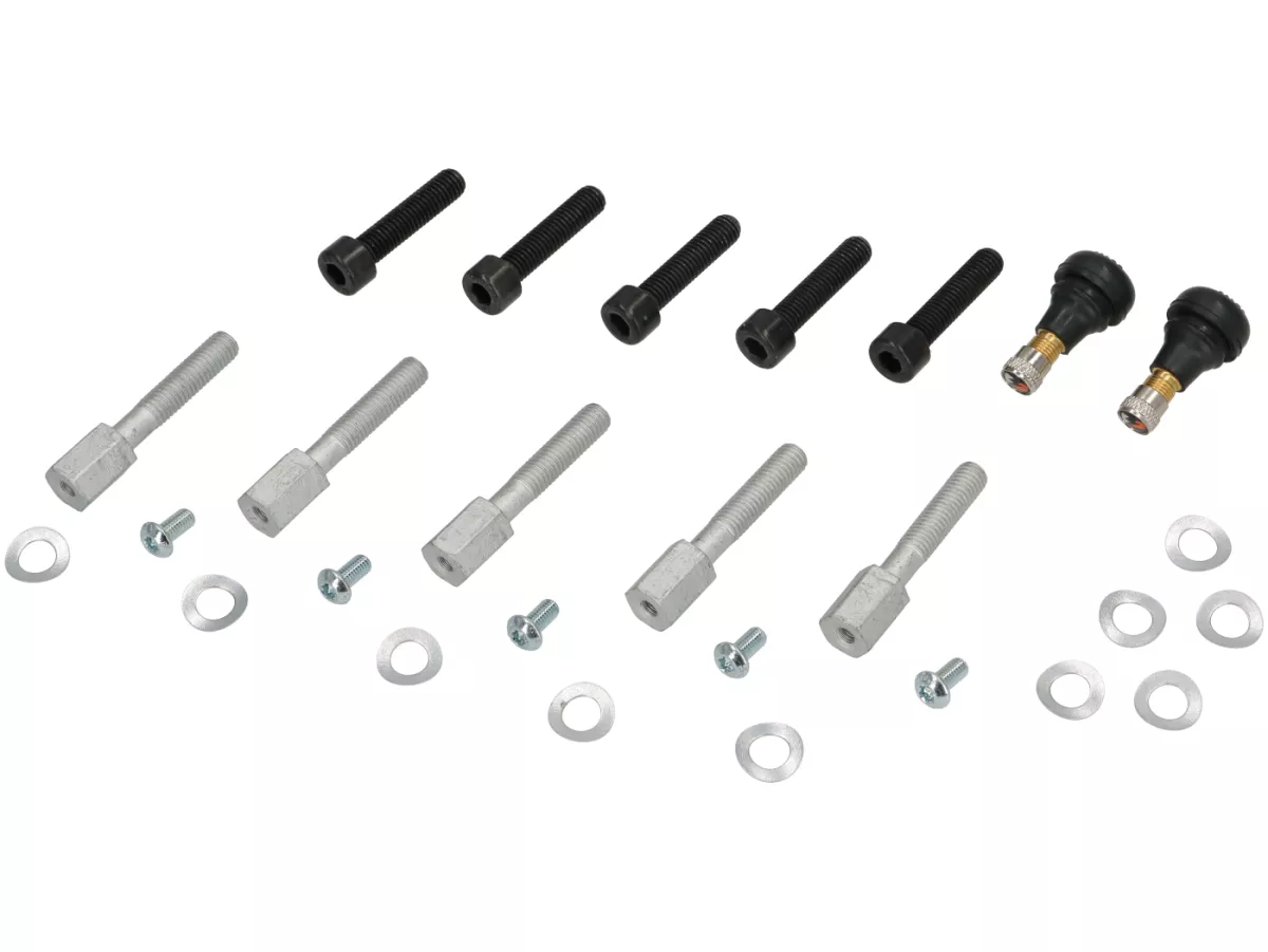 Wielset (voor+achter incl. montagesets) -BGM PRO SPORT - 3.00-13 inch - Vespa GTS, GTS Super, GTV, Sei Giorni, GT 60, GT, GT L 125-310cc - goud mat