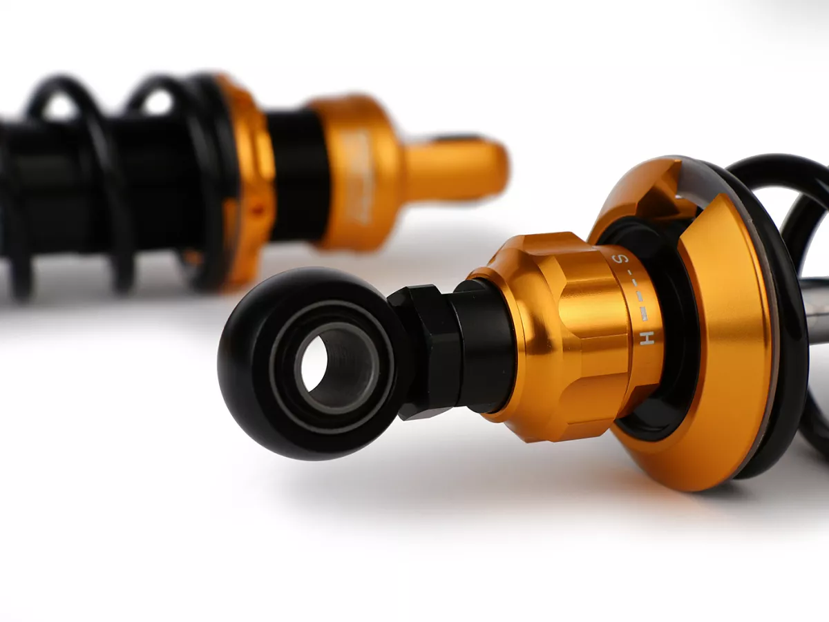 Jeu d'amortisseurs avant -BGM PRO F16 SPORT- Royal Alloy, GP125-350, TG125-350 - noir/or