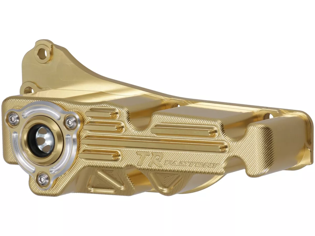 Cárter de aceite TR Factory, dorado, para Vespa 946 125–150 (2013–), GTS / GTS Super 125–150 (2016–), LT 125–150 (2014), LX 125–150 (2012–2013), Primavera 125–150 (2013–), S 125 (2012), Sprint 125–150 (2014–)