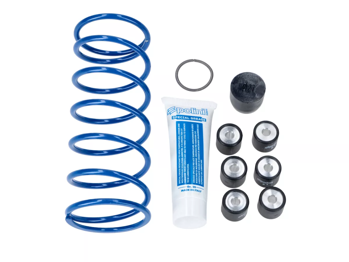 Variatore -MALOSSI Multivar 2000- PEUGEOT Django 150, LXR 125, Tweet 125, SCOMADI TT125, SYM Euro MX 125, GTS 125, HD Evo I 125, Mio 115, Fiddle III 125, Symphony 125, ROYAL ALLOY GP 125, LAMBRETTA V 125 Special