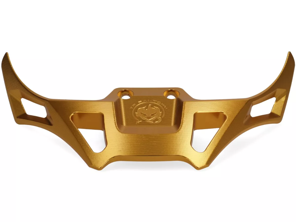 Ducktail spoiler TR Factory V2, oro para Vespa GTS, GTS Super, GTV, GT 60, GT, GT L, Sprint, Primavera