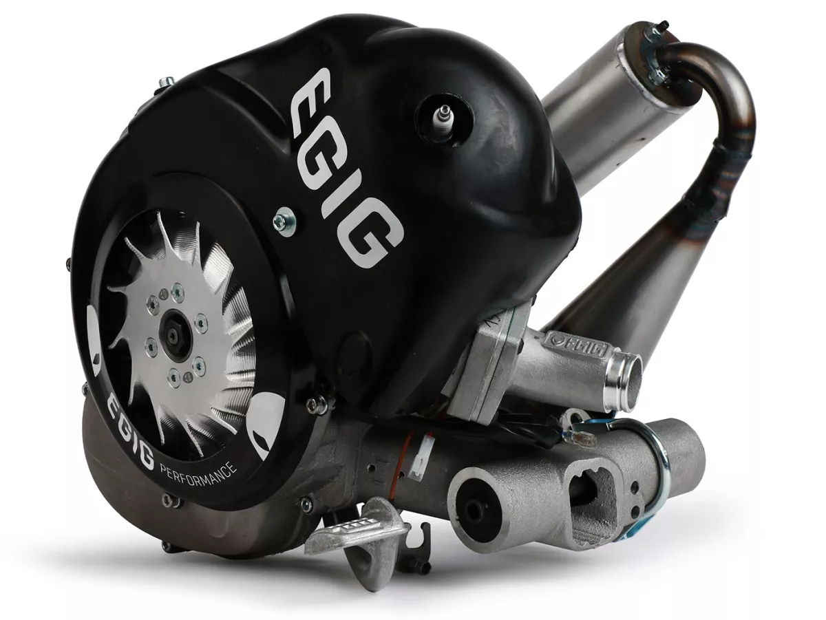 Complete Engine - EGIG PERFORMANCE 180 - 26-28 PS, MAMBA, PHBH30, VMC, VAPE Sport, dynamometer-tuned - Vespa V50, PV125, ET3, PK