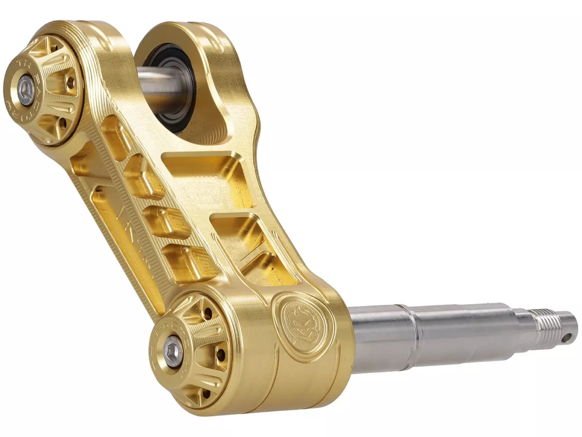 Forcellone TR Factory, V2, dorato per Vespa GTS, GTS Super, GTV, GT 60, GT, GT L, Sprint, Primavera, LX, LXV, S, ET2, ET4, 946, Piaggio Zip, Sfera Hexagon