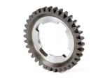 34 denti (lungo +1)