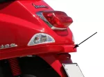 dragon red (894)