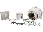 Cylinder -MALOSSI 172 cc- Piaggio LC Maxi 2-stroke Gilera Runner FX125/ FXR180, Piaggio Hexagon 125/150 EX, 125LX,180LXT,  Dragster 125/180