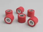 9.50g