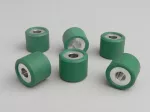9.00g