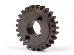 25 teeth