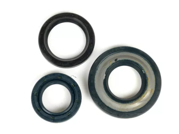 Set segel oli mesin -PIAGGIO- Vespa PK50 XL, PK50 XL2 - (kerucut Ø 20mm)