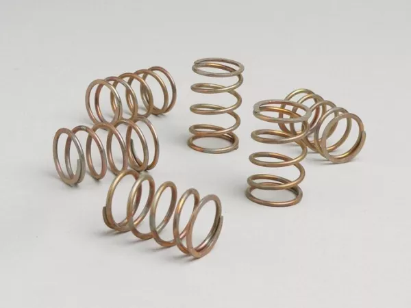 Cluch spring set -DR- Vespa PX (-1995), Cosa (-1995), Sprint, Rally, GL, Super, GT, GTR, GS150/GS3 VS1-5, GS160/GS4 VSB, VNA, VNB, VBA, VBB, VN1 (06001-), VN2, VB, VL, VL - 6 pcs